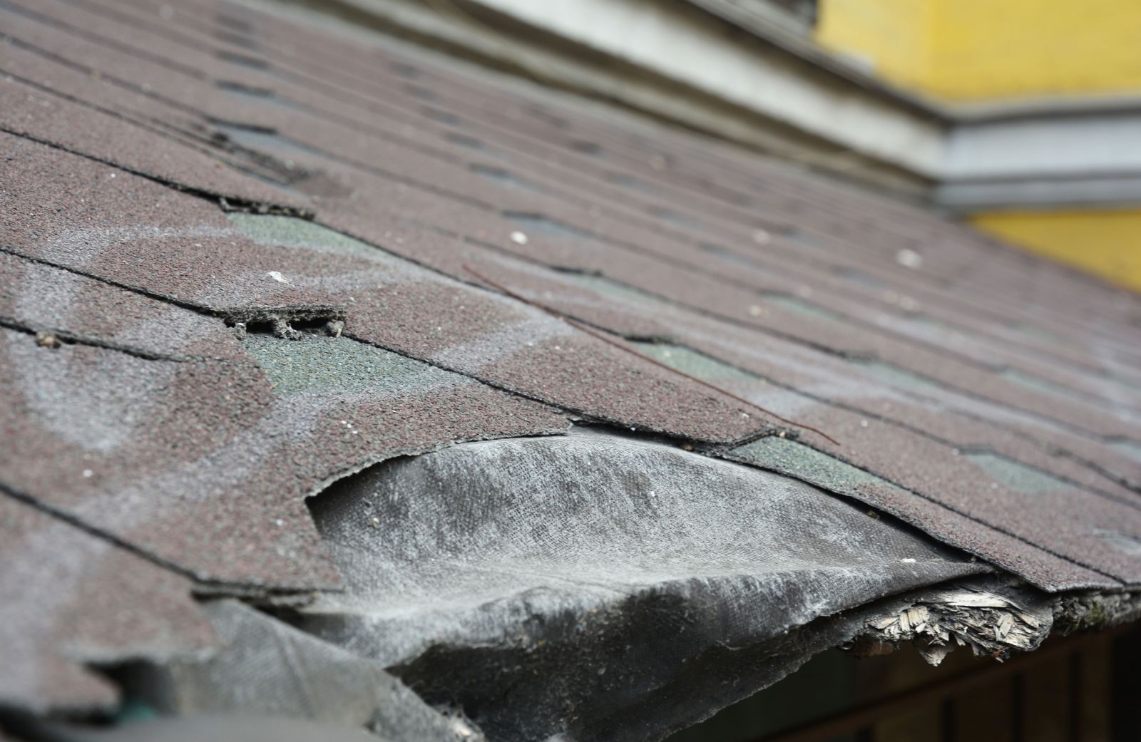 JF Roofing and Seamless Gutters, LLC Images