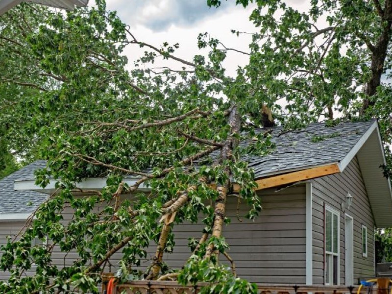 Home Impacted by Storm