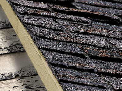 JF Roofing and Seamless Gutters, LLC Images